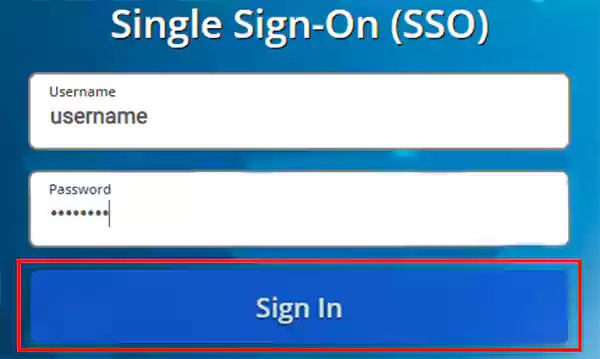 Single sign on (SSO)