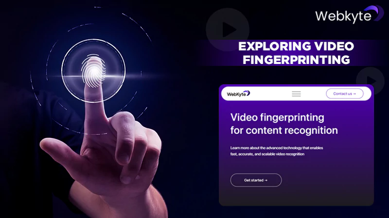 exploring video fingerprinting