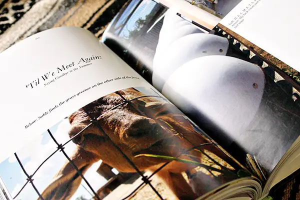 7 Pro Tips to Make a Perfect Photo Book