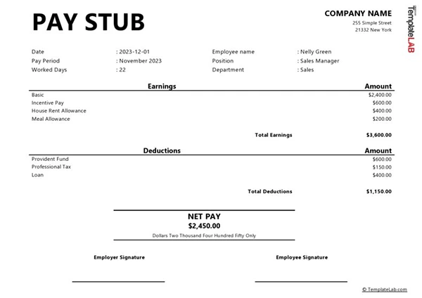 Paystub example